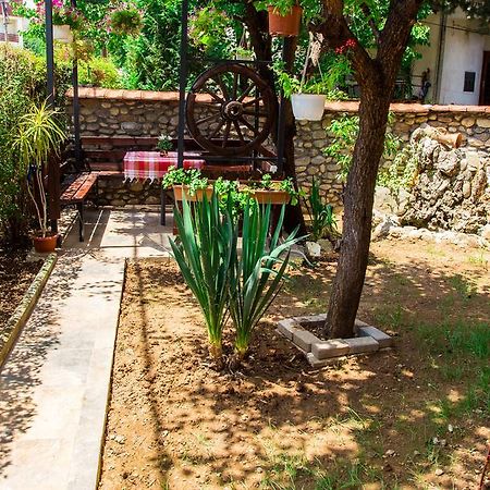 סקופיה The Comfy Hostel מראה חיצוני תמונה